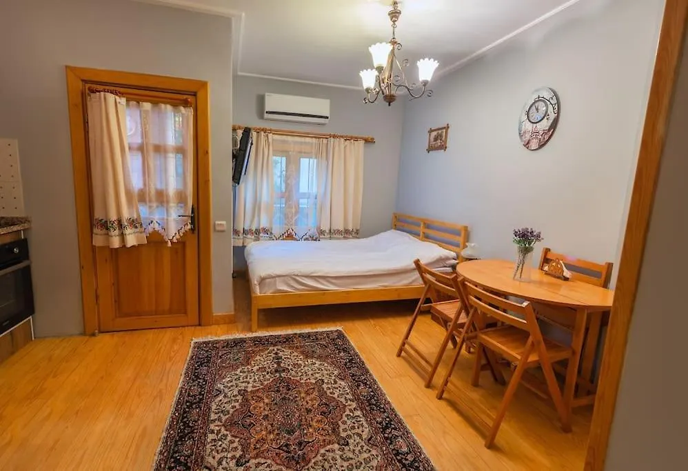 Double Q Apart Sultanahmet Apartment Istanbul